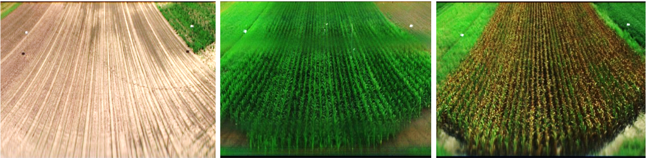 Crop field image alignment