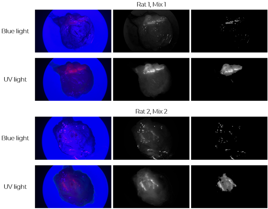 Blue versus UV light using different chemical mixes