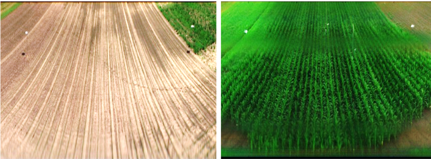 Image registration of a crop field