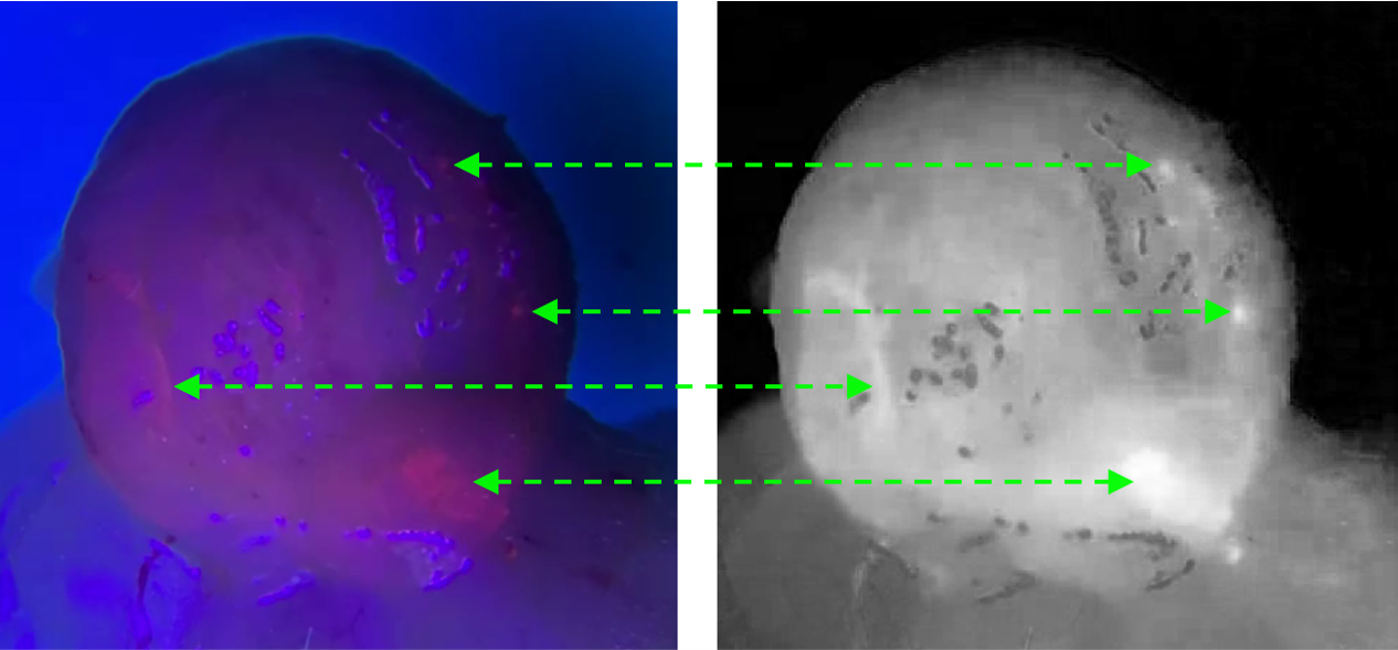 Spectral indexing comparison