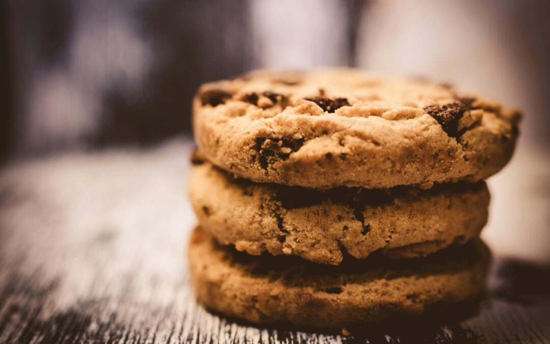 a chocolate chip cookie